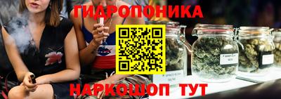 соль ск Будённовск